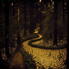 a path in the middle of a forest with circles painted on it's sides