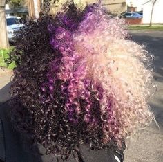 Ombre Natural Curly Hair, Natural Curly Hair, Colored Curly Hair, White Ombre, Pretty Hair Color, Natural Styles