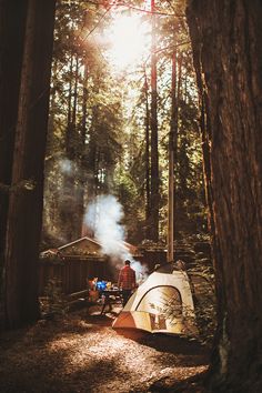 Camping in Redwoods Pacific Crest Trail, Camping Outfits, Camping Essentials, Camping Life, Camping & Hiking