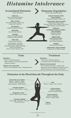 Histamine Intolerance Infographic - Alison Vickery Anti Dieting, Healthy Bacteria, Yoga Photography, Morning Yoga