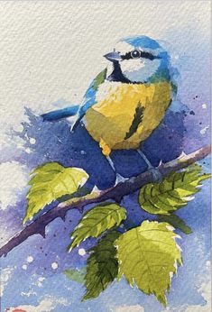 a watercolor painting of a blue bird on a branch