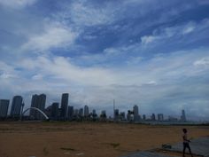 a person flying a kite in front of a large city with tall buildings on the other side