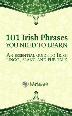 the cover of 101 irish phrases you need to learn an essential guide to irish lingo,