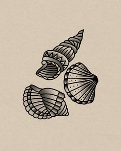 three seashells are shown in black and white on a beige background with the words,