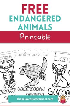 the free printable worksheet for kids to learn how to draw and color animals