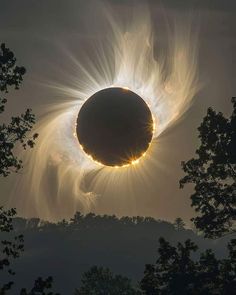 the solar eclipse is seen through trees in this image