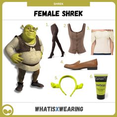 the costume guide for female shrek from shrapskin's animated movie