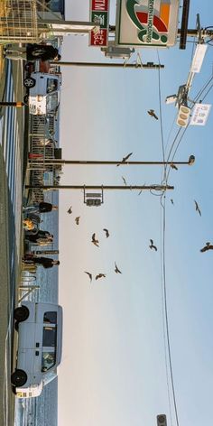 birds are flying in the air over a city street