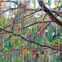 a tree with beads hanging from it's branches in front of a forest filled with trees