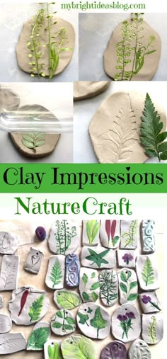 clay impressions nature craft for kids to make with leaves and other things in the background