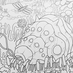 a coloring page with an image of a bug in the water and other things around it