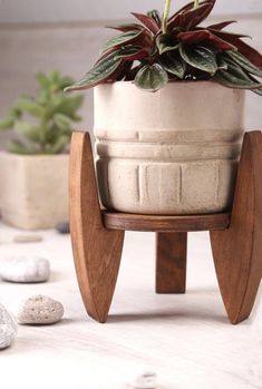 a potted plant sitting on top of a wooden stand next to rocks and plants