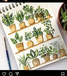 an open notebook with plants on it