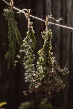 Herbs Aesthetic, Magic Aesthetics, Forestcore Aesthetic, Green Witch Aesthetic, Celtic Druids, Nature Witch, Magia Das Ervas, Magical Life, Dark Cottagecore