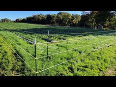 a large field with lots of green grass next to a wire fence and trees in the background