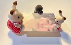 two small stuffed animals sitting on top of a table next to a mirror with a woman's face in it