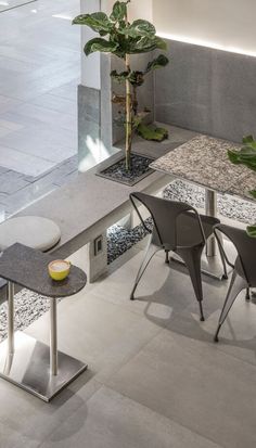 two chairs and a table in a room with concrete flooring on the ground, next to a potted plant