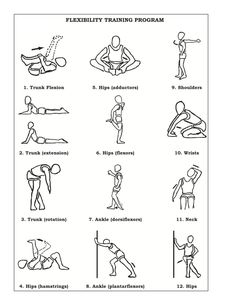 an exercise poster with instructions on how to do the flexibility training program for people in their home