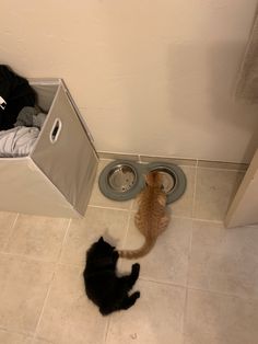 two cats are sitting on the floor next to a laundry basket and clothes in it