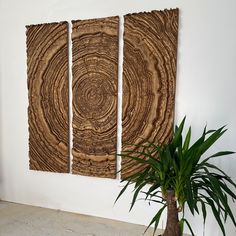 three pieces of wood are hanging on the wall next to a potted palm tree