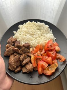 a person holding a plate with meat, rice and tomatoes on it in front of a window