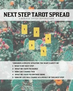 the next step tarot spread is to make it easier for you to learn how to read