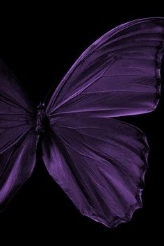 a purple butterfly flying through the air