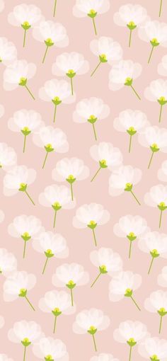 a pink background with white flowers on it