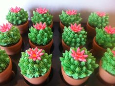 there are many potted plants that have flowers in them on the trays together