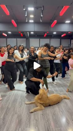 a group of people are dancing with a dog on the floor in front of them