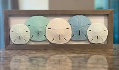 three sand dollars are arranged in a shadow box on a counter top, and the bottom one is made to look like four sand dollar heads