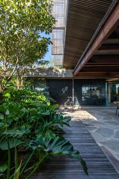 an outdoor area with wooden decking and green plants on the side of the building