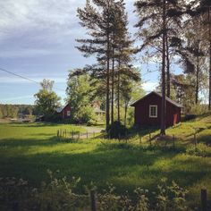 a small red house in the middle of a grassy field with trees and grass around it