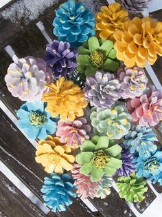 several different colored flowers sitting on top of a wooden table