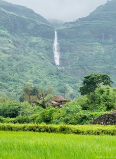 a lush green field with a waterfall in the background