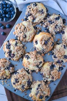 blueberry crumb muffins on a baking sheet with fresh blueberries in the background