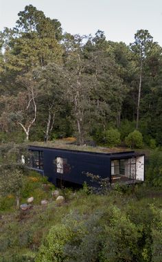 the instagram page shows an image of a small house in the middle of trees