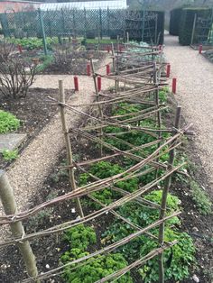 the garden is full of green plants and wooden poles with red posts on each side