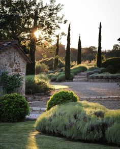 the sun shines brightly through the trees and bushes in this landscaped garden area