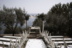 an outdoor wedding setup with white flowers and greenery