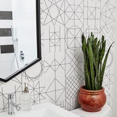 a potted plant sitting on top of a white toilet next to a sink in a bathroom