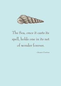 the sea, once it casts its spell, holds one in its net of wonder