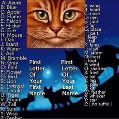 an orange cat with green eyes sitting in front of a blue background that says first letter of your name