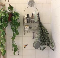 the bathroom is clean and ready to be used as a planter for hanging plants