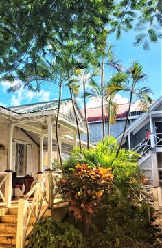 a house with palm trees and stairs leading up to it