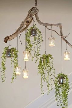 a chandelier made out of branches and glass jars filled with plants hanging from it