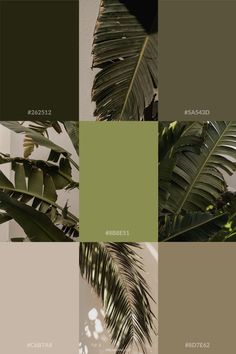 some green plants are shown in different shades