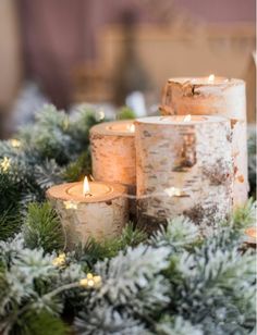 several lit candles sitting on top of a table covered in evergreen branches and pine cones