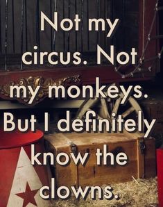 there is a quote that says not my circus not my monkeys but i definitely know the clowns