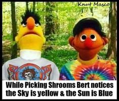 two cartoon characters standing next to each other in the woods with text reading while picking spoons bert notices the sky is yellow & the sun is blue